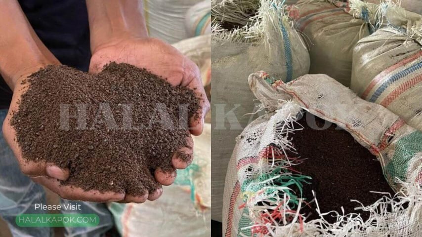 KAPOK MEAL FACTORY COLLAGE HALAL KAPOK A