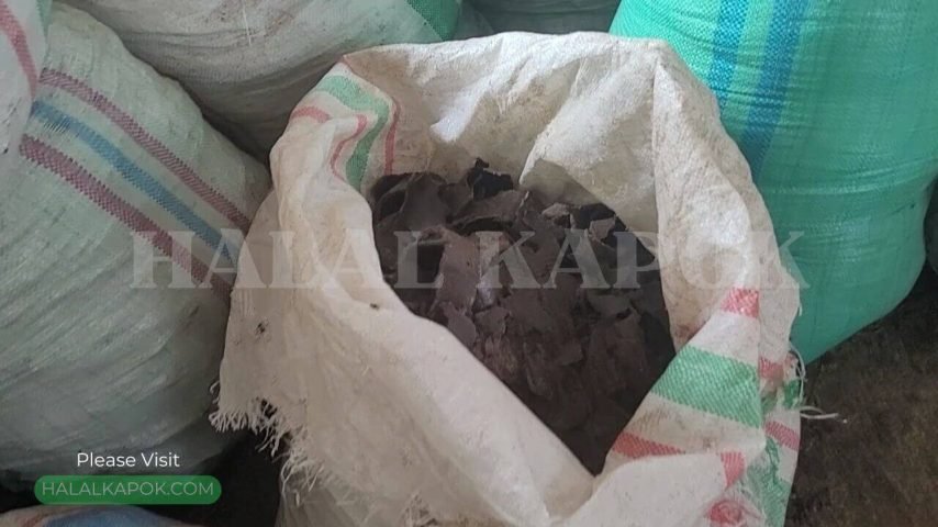 KAPOK MEAL FACTORY HALAL KAPOK B