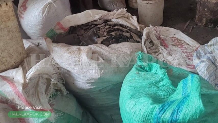 KAPOK MEAL FACTORY HALAL KAPOK C