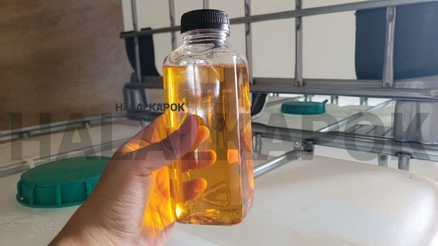 How a Kapok Seed Oil Supplier from Indonesia Supports Sustainable Agriculture and Local Farmers