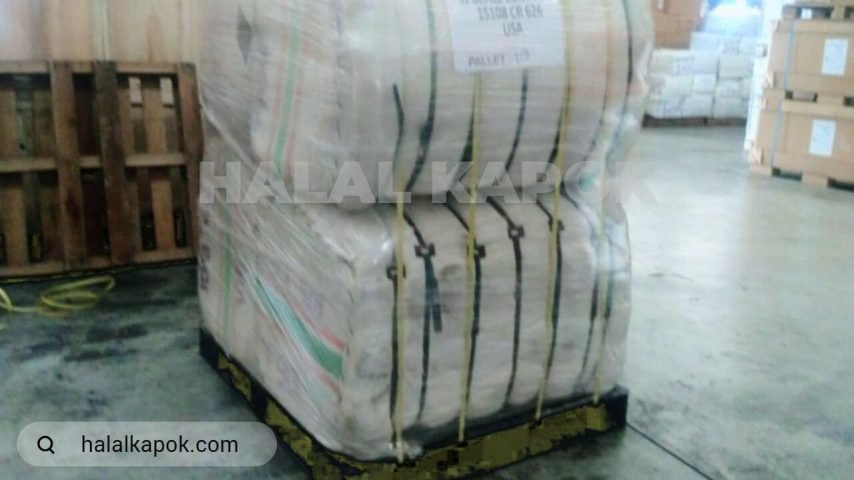 halalkapok LCL kapok fiber 720p watermark fx stilllive artificial ad tiny