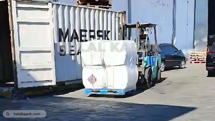 halalkapok LCL kapok fiber Stuffing Surabaya 720p watermark fx stilllive artificial ab tiny
