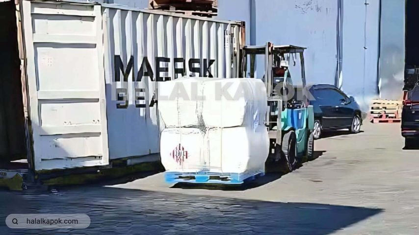 halalkapok LCL kapok fiber Stuffing Surabaya 720p watermark fx stilllive artificial ab tiny