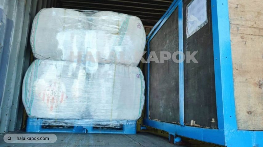 halalkapok LCL kapok fiber Stuffing Surabaya 720p watermark fx stilllive artificial tiny