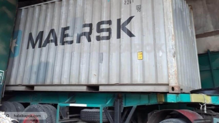 halalkapok kapok fiber Stuffing 20FT 720p watermark aa tiny