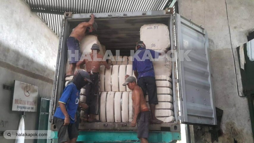 halalkapok kapok fiber Stuffing 20FT 720p watermark ab tiny