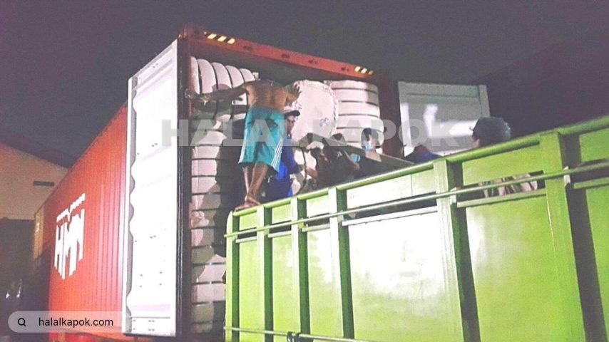 halalkapok kapok fiber Stuffing 40HC 720p watermark ab tiny